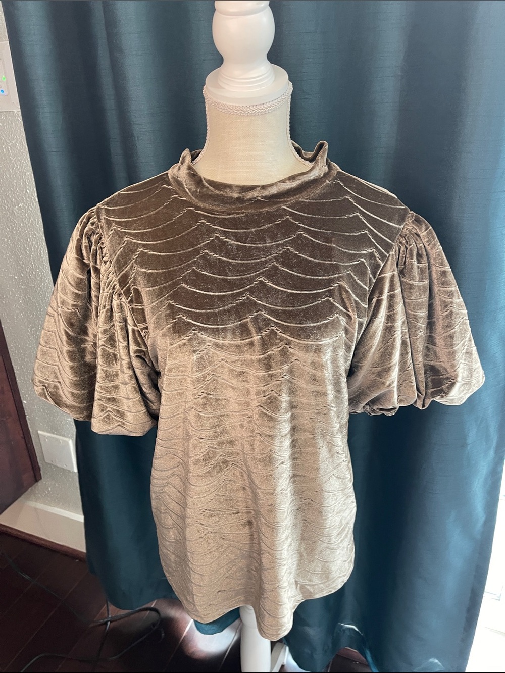 THML Taupe Velvet Puff Sleeve Top